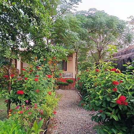 Hotel Crocodile Safari Camp à Chitwan Extérieur photo