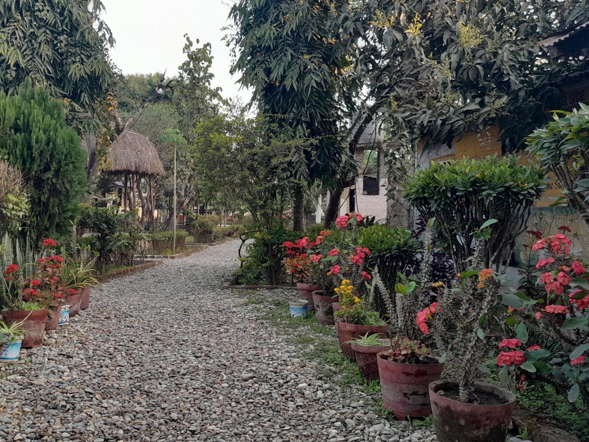 Hotel Crocodile Safari Camp à Chitwan Extérieur photo