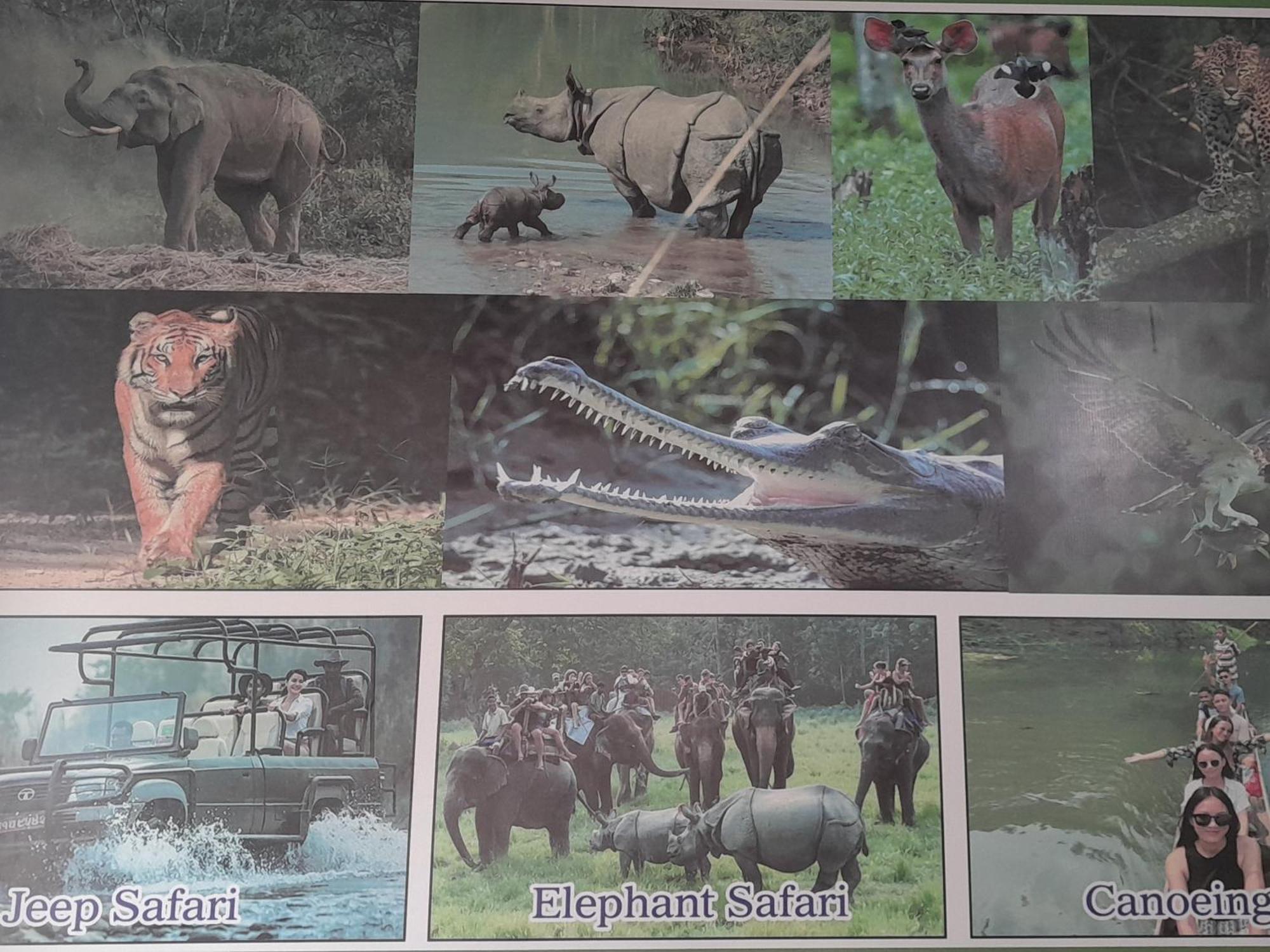 Hotel Crocodile Safari Camp à Chitwan Extérieur photo