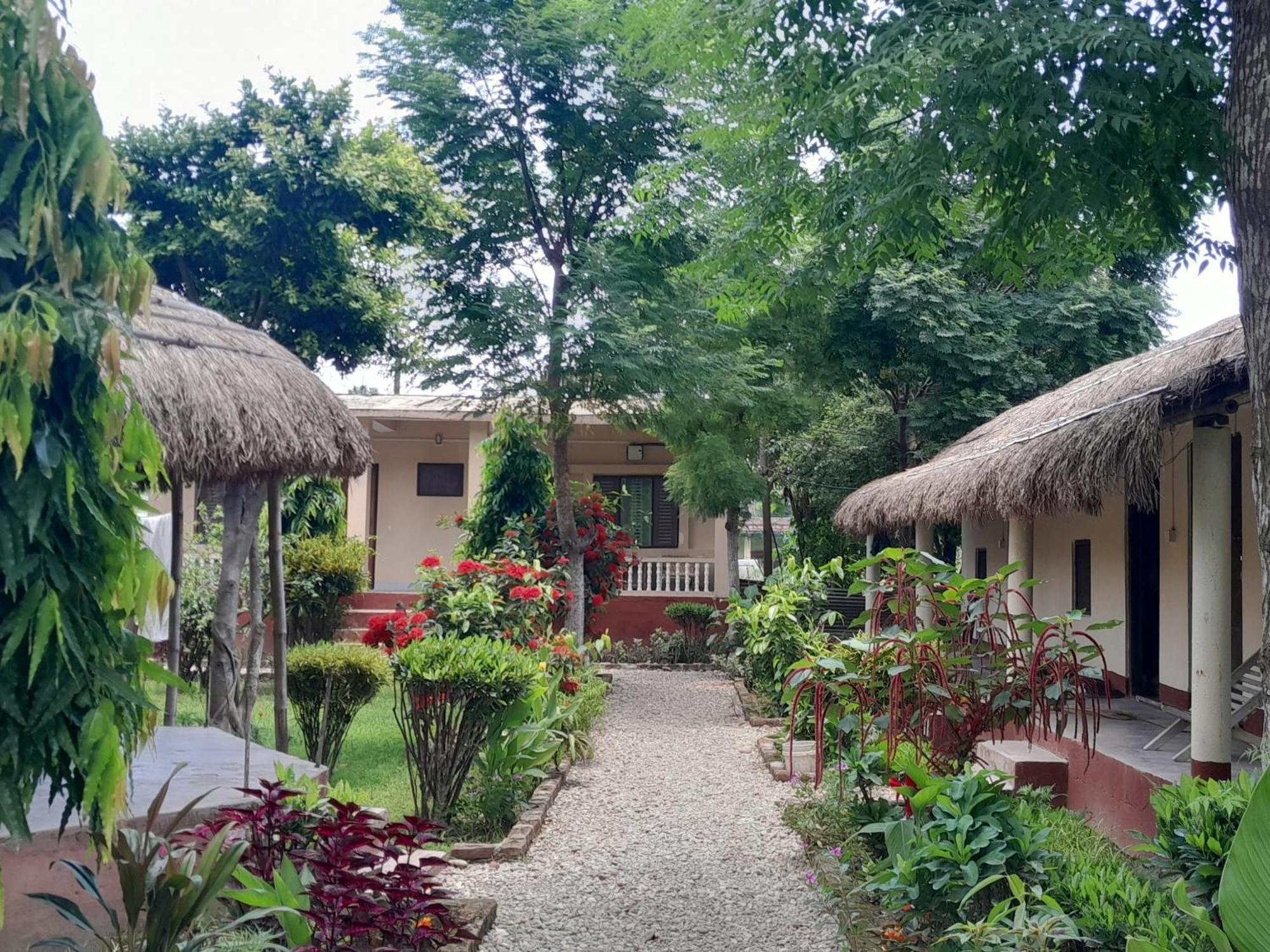 Hotel Crocodile Safari Camp à Chitwan Extérieur photo
