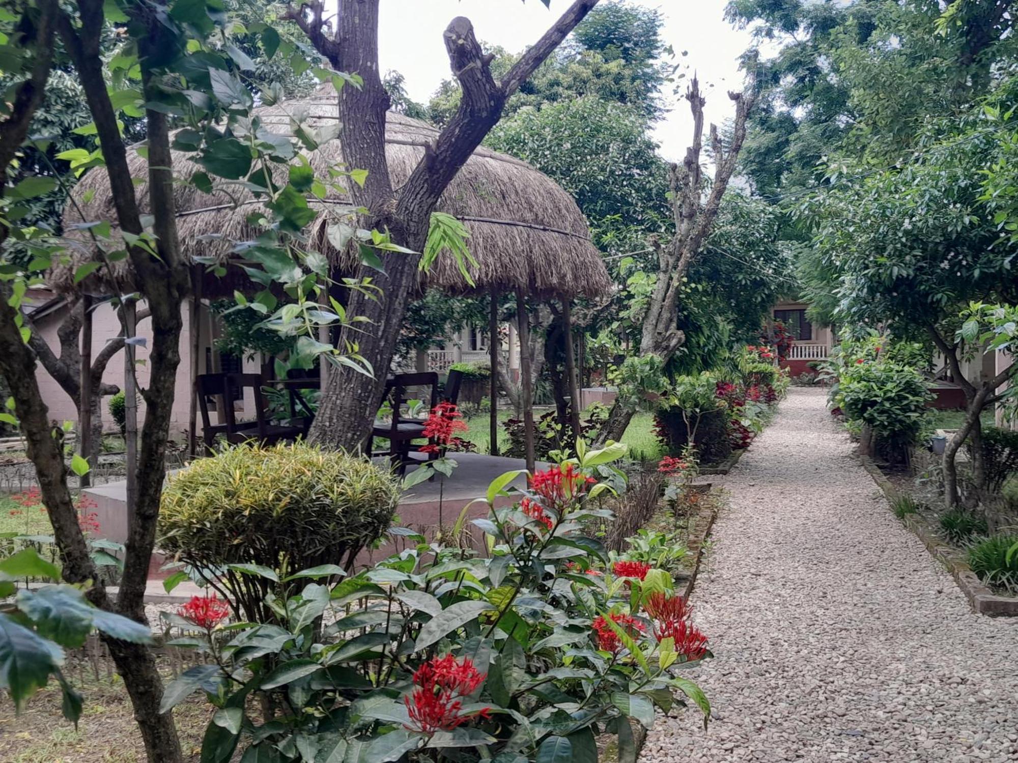 Hotel Crocodile Safari Camp à Chitwan Extérieur photo
